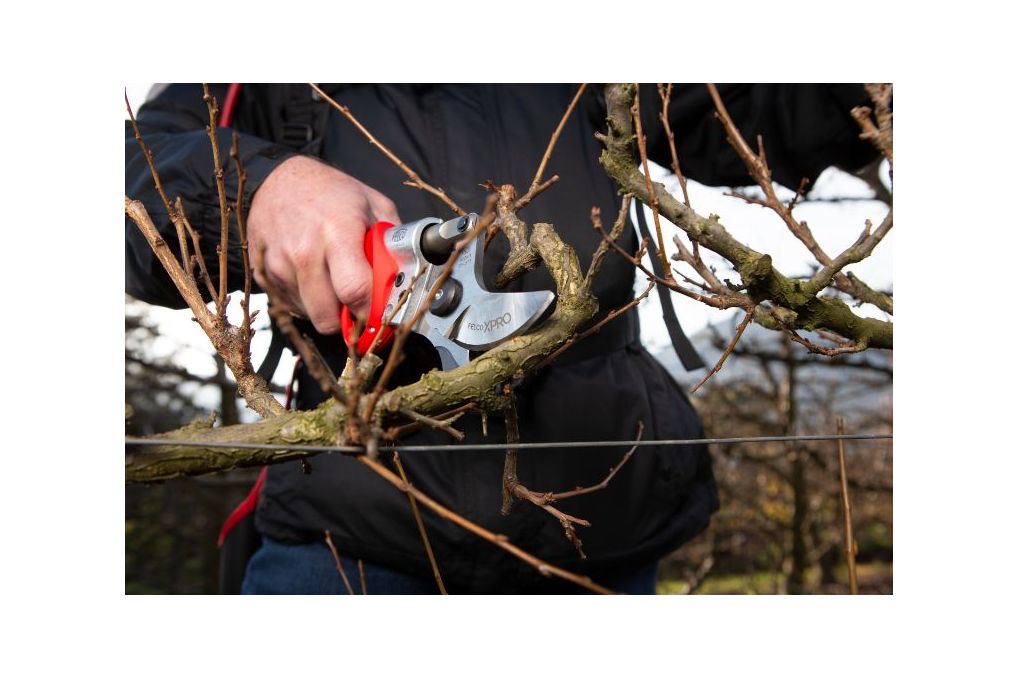 Akku Gartenschere FELCO 822 KIT mit Batterie 880