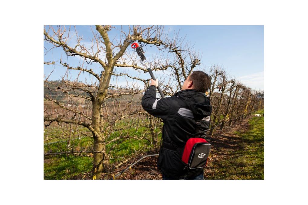 Akku Gartenschere FELCO 822 KIT mit Batterie 880