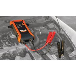 SB 201 MS Batteriestartgerät
