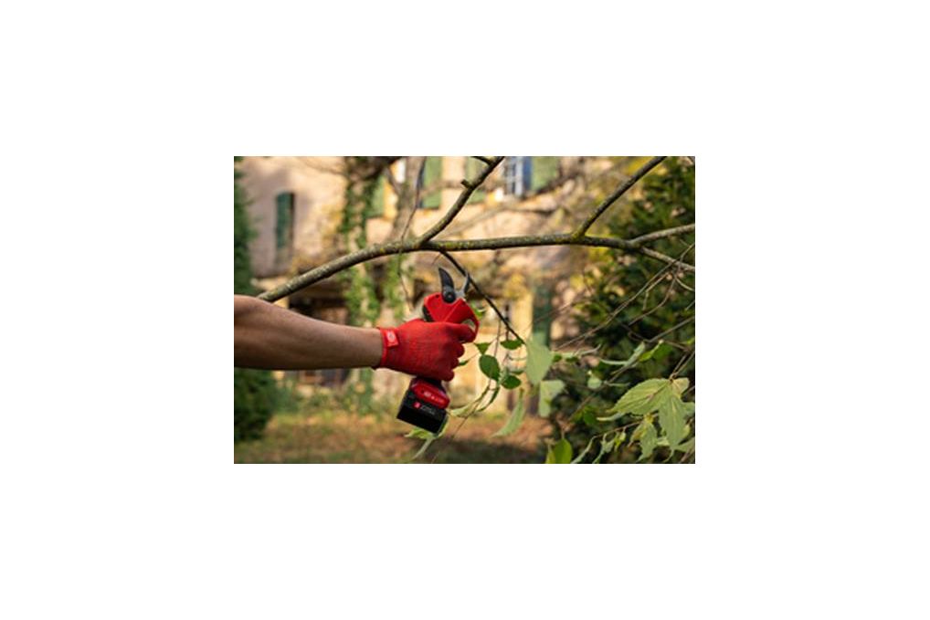 Elektrische Baum-,Rebschere
