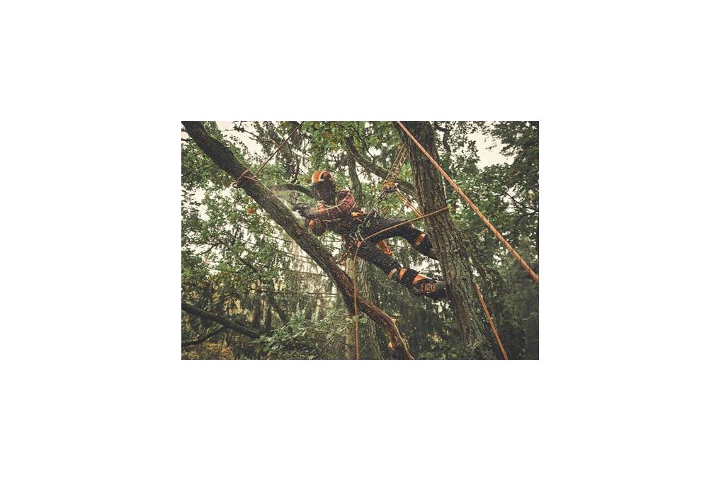 STIHL Akku Motorsäge MSA 190 T