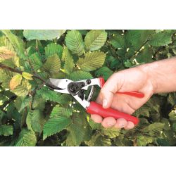 STIHL Gartenschere FELCO F12