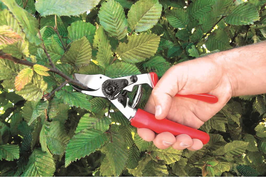 STIHL Gartenschere FELCO F12