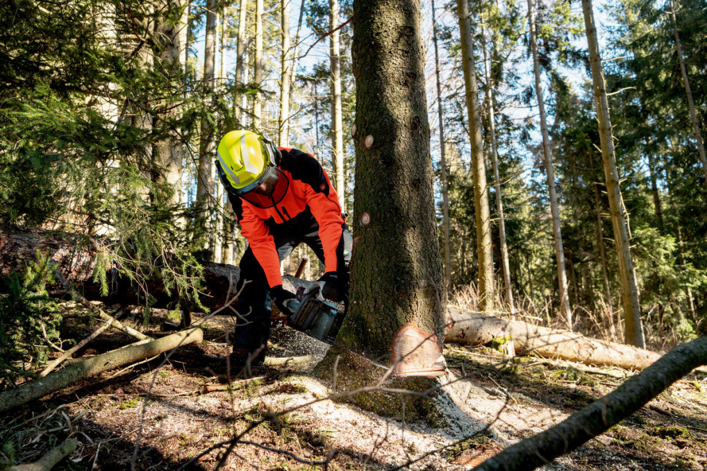 Akku-Kettensäge MS 36-18 LTX BL 40 (601613850) Karton