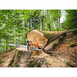 MS 881, RS, Schienenlänge 75 cm