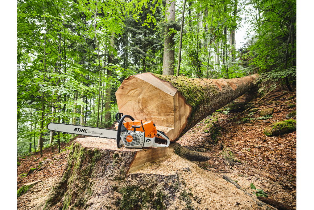 MS 881, RS, Schienenlänge 75 cm