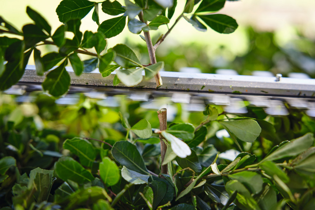 HSA 40 Set, mit 2x Akku AS 2 und Ladegerät AL 1