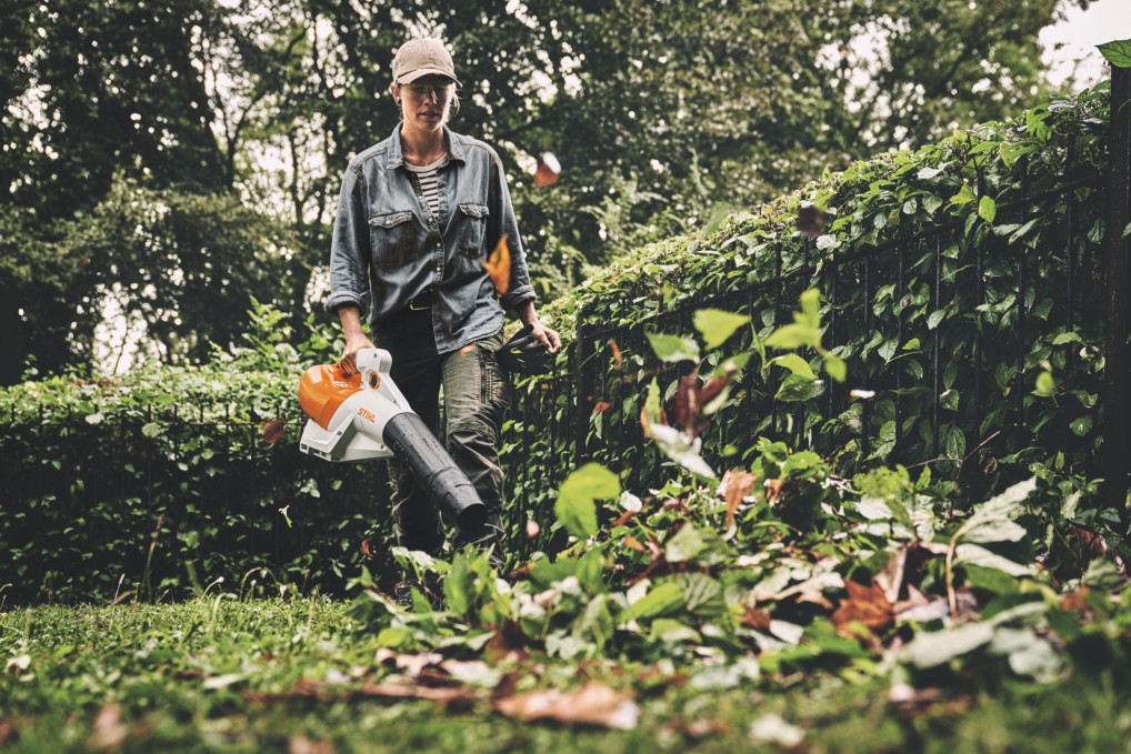 BGA 250, ohne Akku und Ladegerät