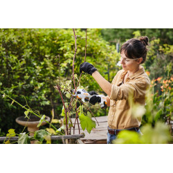 ASA 20 Set ASA 20 Set