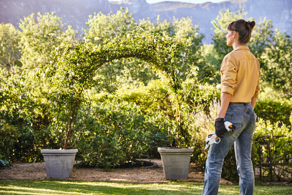 ASA 20 Set ASA 20 Set