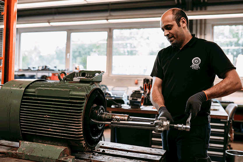 Reparatur Elektromotor